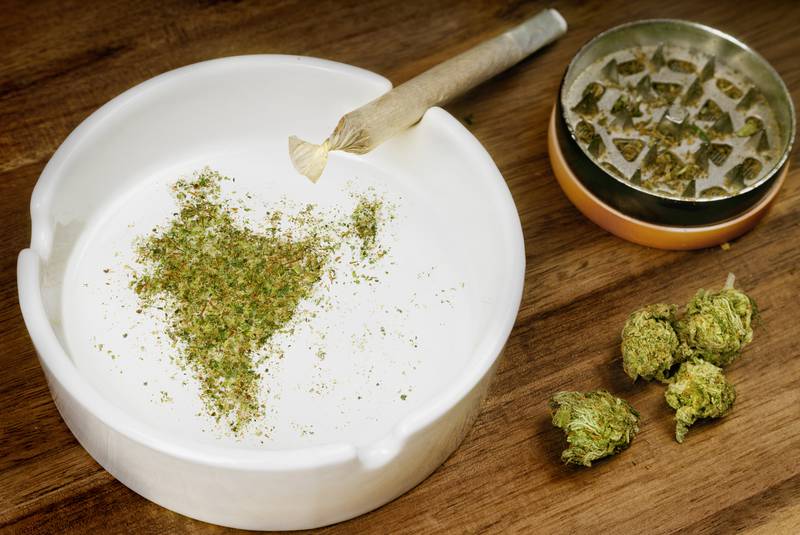 Cannabis has deep roots in Indian culture. —