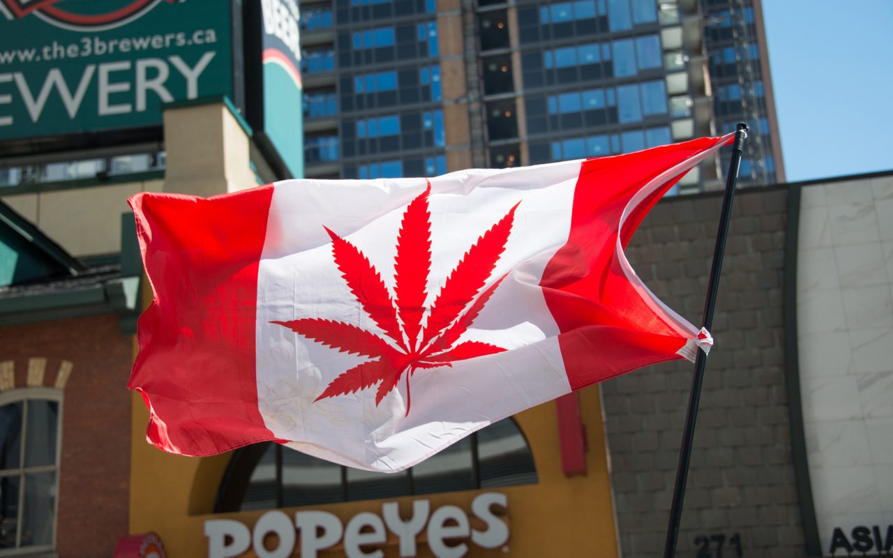 canadian cannabis statistics